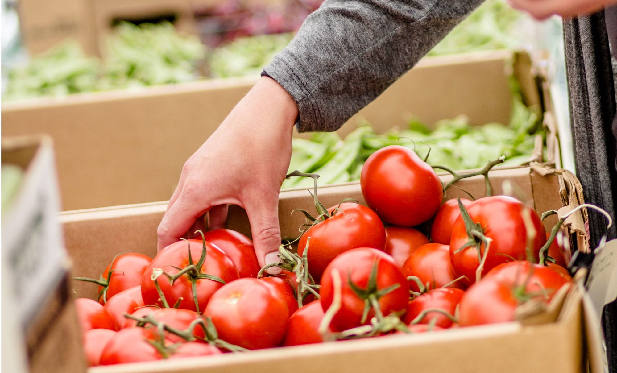 News from The Pierce - Farm to table: San Jose Farmers Market